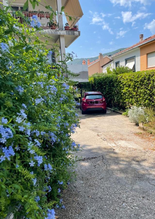 Apartment Garden Kotor Eksteriør bilde