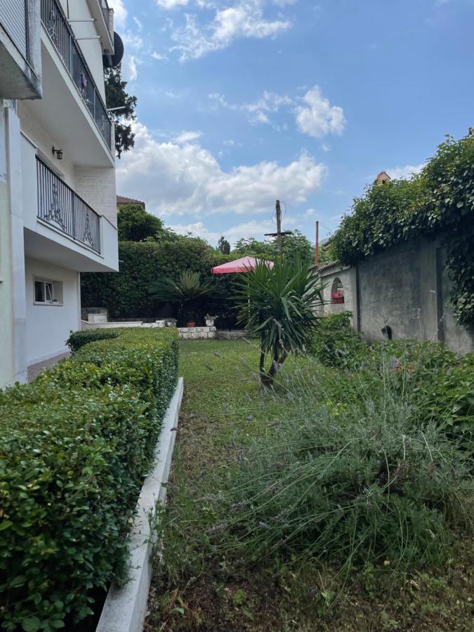 Apartment Garden Kotor Eksteriør bilde