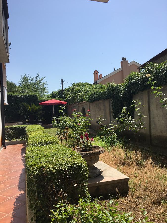 Apartment Garden Kotor Eksteriør bilde